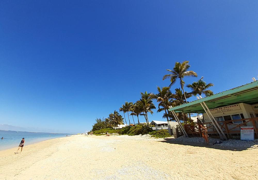 Exceptionnel ! Le Kazuarina, Tres Bel Apt F3 A 50M De La Plage De La Saline Le Bains Buitenkant foto