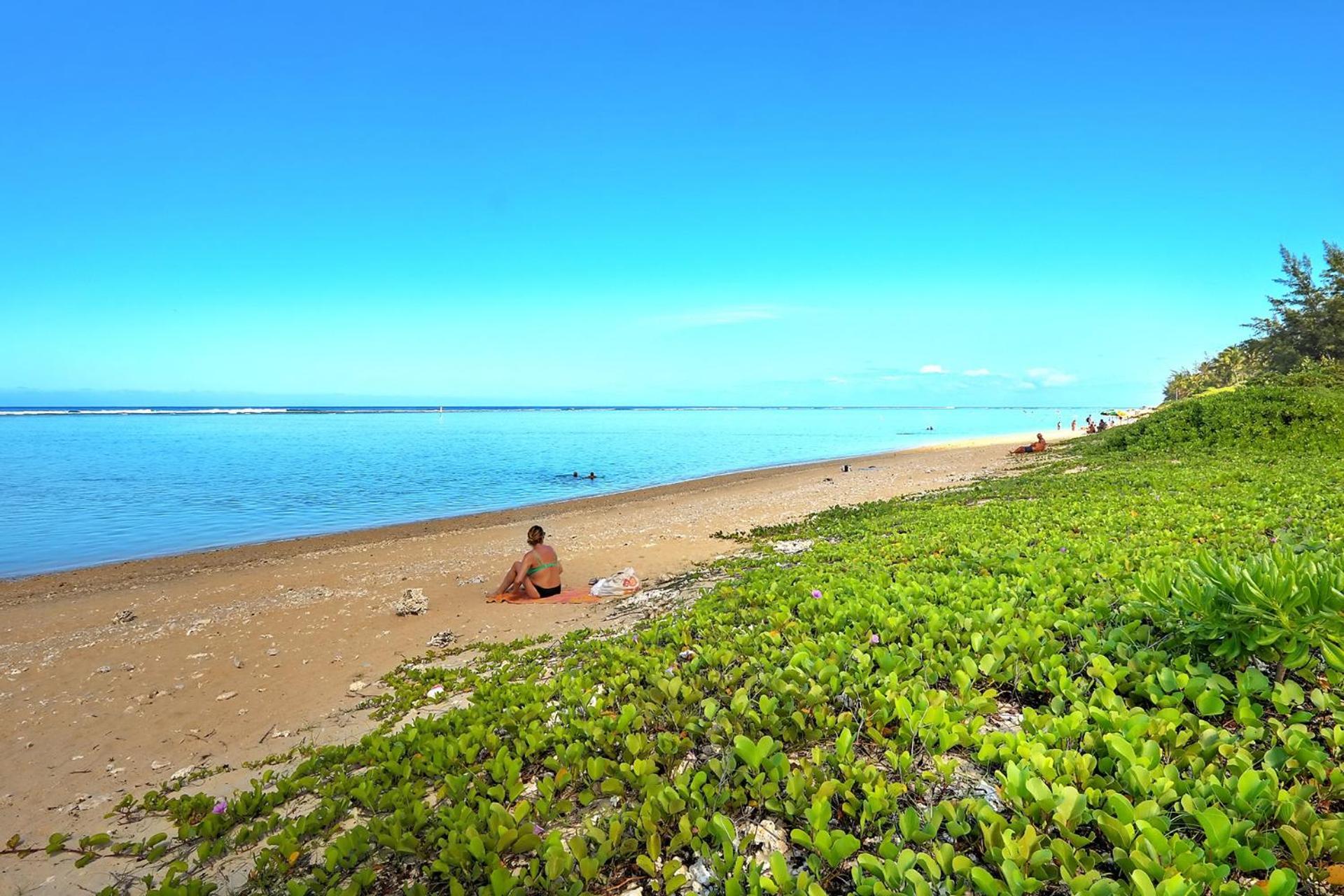 Exceptionnel ! Le Kazuarina, Tres Bel Apt F3 A 50M De La Plage De La Saline Le Bains Buitenkant foto